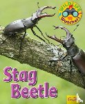 Owen, Ruth - Wildlife Watchers: Stag Beetle