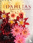Slade, Naomi, Lane, Georgianna - Dahlias