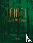 Collins, Matt - Forest