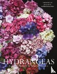 Slade, Naomi - Hydrangeas