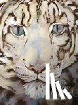 Morris, Jackie - The Snow Leopard