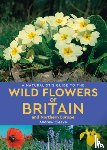 Andrew Cleave - A Naturalist's Guide to the Wild Flowers of Britain and Northern Europe (2nd edition)