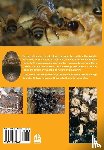 Hood, Michael Wm - The Small Hive Beetle, Aethina tumida Murray