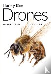 Kingham, Graham - Honey Bee Drones
