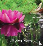 ANGELI PUBLICATIONS - Funeral Guest Book, In Loving Memory, Memorial Guest Book, Condolence Book, Remembrance Book for Funerals or Wake
