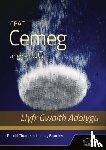 Bromley, Lindsay, Thomas, Rhodri - CBAC Cemeg ar gyfer UG Llyfr Gwaith Adolygu (WJEC Chemistry for AS Level: Revision Workbook)