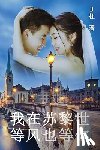 B杜 - 我在苏黎世等风也等你（简体字版）