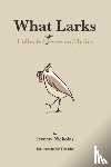 Nicholas, Jeremy - What Larks