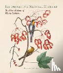 McBurney, Henrietta - Illuminating Natural History