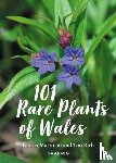 Rich, Tim, Marrinan, Lauren - 101 Rare Plants of Wales