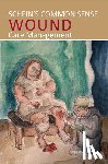 Schein, Moshe - Schein's Common Sense Wound Care Management