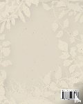 Cooper, Allyson - Cricut For Beginners 4 books in 1