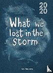 Andrews, Iain - What We Lost In The Storm