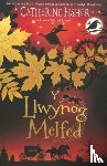 Fisher, Catherine - Y Llwynog Melfed