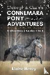 Heney, Elaine - Clodagh & Ozzie's Connemara Pony Adventures