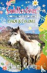 Heney, Elaine - Saddlestone Connemara Pony Listening School | Conor and Coconut