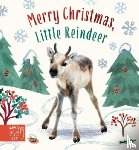 Wood, Amanda - Merry Christmas, Little Reindeer