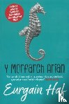 Haf, Eurgain - Y Morfarch Arian - Enillydd y Fedal Ryddiaith 2024