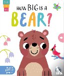 Regan, Lisa - How Big is a Bear?