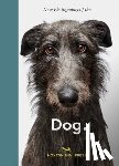 Golbach, Jilke - New Photography of the Dog