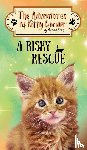 Knox, Natalie - A Risky Rescue