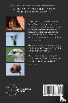 Comstock, Anna B - The Handbook Of Nature Study in Color - Birds