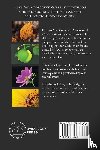 Comstock, Anna B - The Handbook Of Nature Study in Color - Trees and Garden Flowers