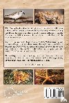 Burgess, Thornton - The Burgess Seashore Book with new color images