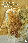 Endersby, Ian - Catalogue of Australian Fossil Dragonflies