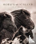 Laiz, Guadalupe - Horses of Iceland