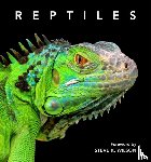 Wilson, Steve - Reptiles