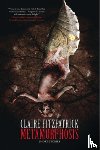 Fitzpatrick, Claire - Metamorphosis: Short Stories