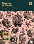 James, Kale - Flowers and Plants