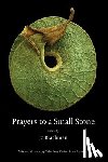 Brachman, Jo - Prayers to a Small Stone