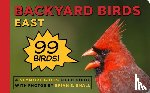 Gulls, Seymore - Backyard Birds
