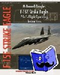 Air Force, United States - MCDONNELL DOUGLAS F-15E STRIKE