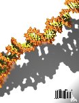 Keller, Rebecca W - Focus On High School Chemistry Student Textbook (softcover)