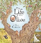 Bernhard, D. Yael - The Life of an Olive
