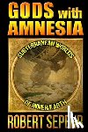 Sepehr, Robert - GODS W/AMNESIA