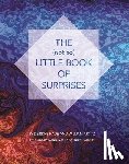 Hade, Deirdre - The (not so) Little Book of Surprises