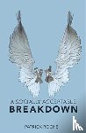Roche, Patrick - Socially Acceptable Breakdown