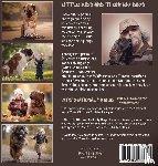 Seliverstoff, Andy - Little Kids and Their Big Dogs