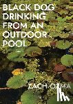 Ozma, Zach - Black Dog Drinking from an Outdoor Pool