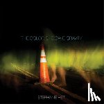 Heit, Stephanie - The Color She Gave Gravity