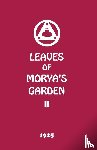 Society, Agni Yoga - Leaves of Morya's Garden II