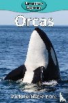 Blakemore, Victoria - Orcas