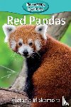 Blakemore, Victoria - Red Pandas