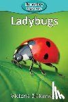 Blakemore, Victoria - Ladybugs