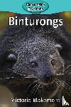 Blakemore, Victoria - Binturongs
