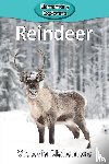 Blakemore, Victoria - Reindeer